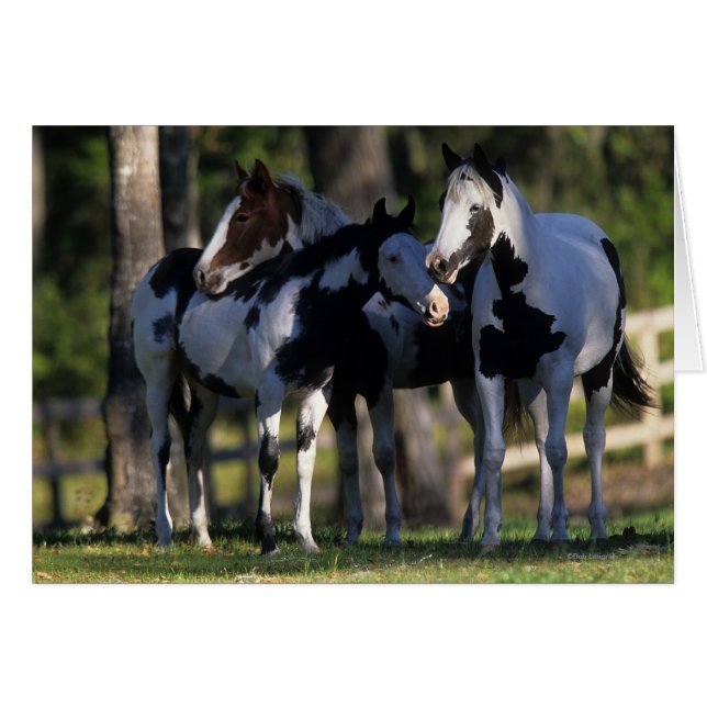 Chevaux de peinture (Devant horizontal)