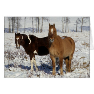 Chevaux de peinture dans la neige