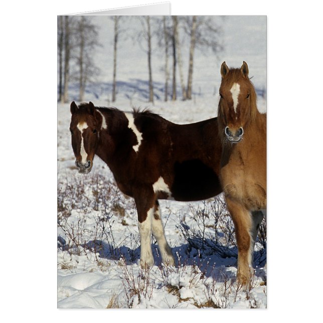 Chevaux de peinture dans la neige (Devant)
