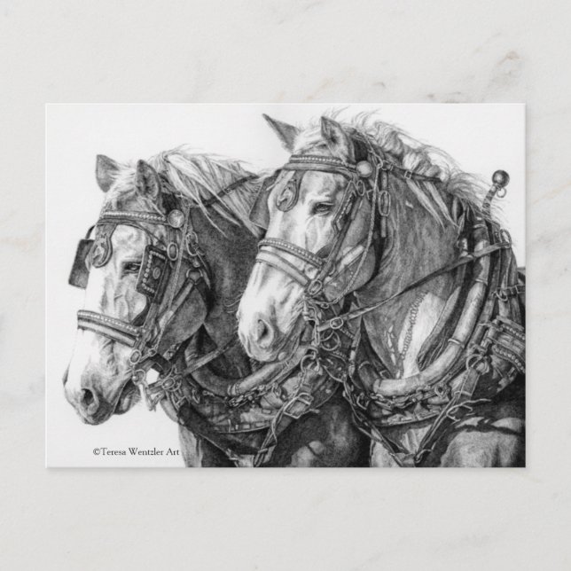 Chevaux de trait tirant une carte postale (Devant)