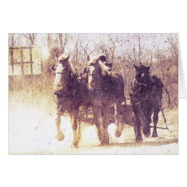 Chevaux de travail Amish, Faux Vintage (Devant horizontal)