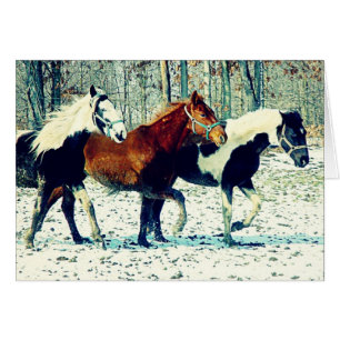 Chevaux d'hiver