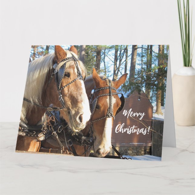Chevaux d'hiver à Sturbridge Village Carte de Noël (Devant)