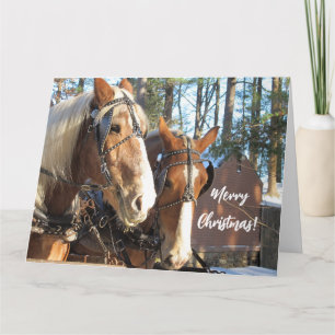 Chevaux d'hiver à Sturbridge Village Carte de Noël