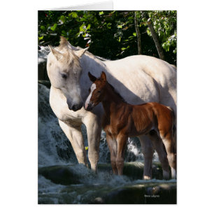 Chevaux d'imaginaire : Cascade