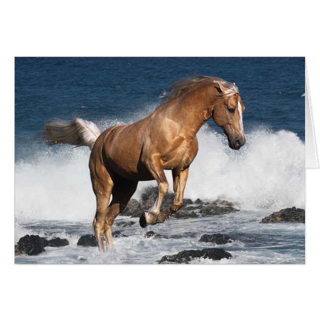 Chevaux d'imaginaire : Éclaboussure d'été (Devant horizontal)