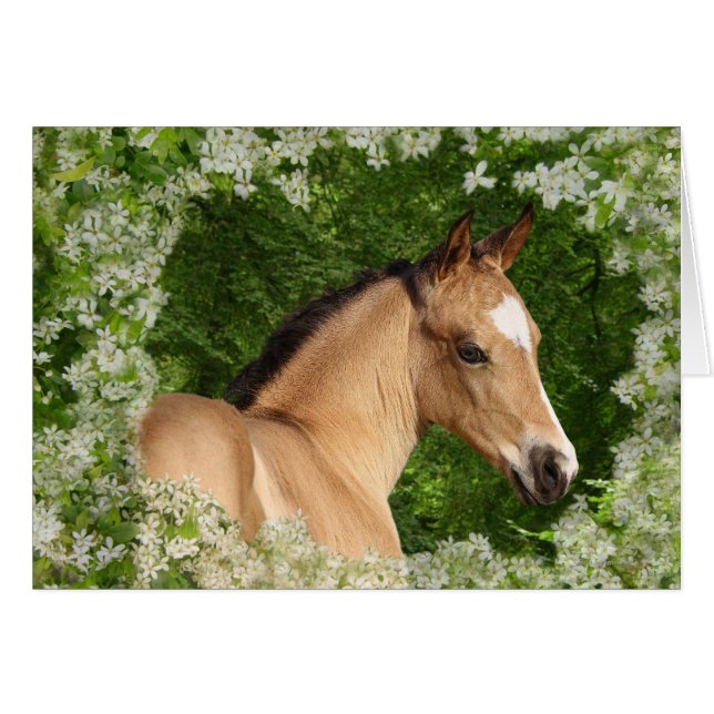 Chevaux d'Imaginaire : Fleurs (Devant horizontal)