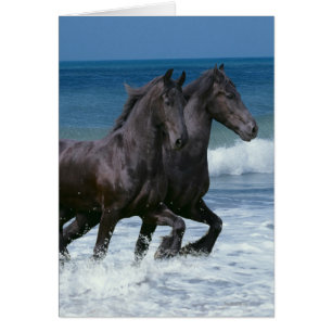 Chevaux d'imaginaire : Frisons et mer