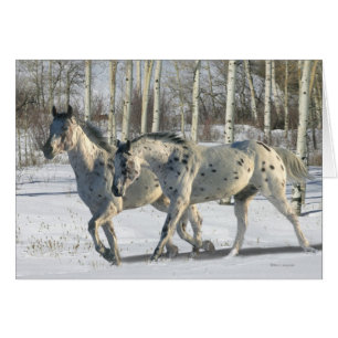 Chevaux d'imaginaire : Le pays des merveilles