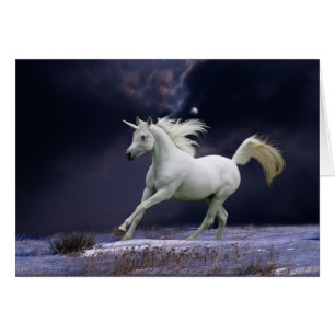 Chevaux d'imaginaire : Licorne
