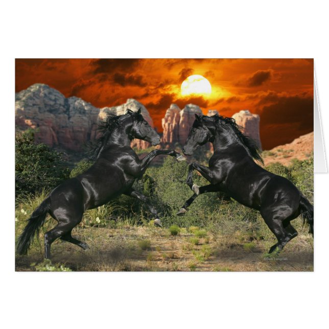 Chevaux d'Imaginaire : Magie noire (Devant horizontal)