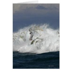 Chevaux d'imaginaire : Mer