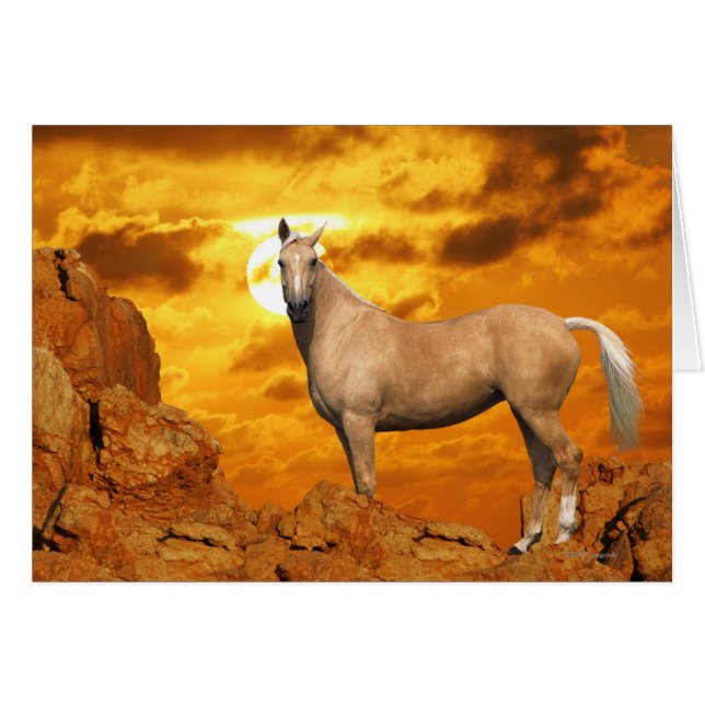 Chevaux d'Imaginaire : Montagne (Devant horizontal)