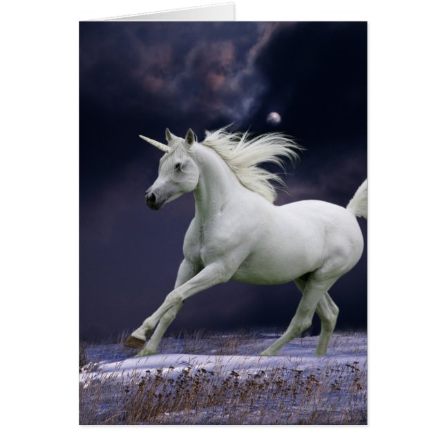 Chevaux d'Imaginaire : Unicorne (Devant)