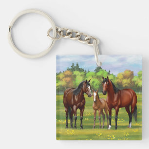 Chevaux Du Quartier De La Baie Brown Dans Les Pâtu