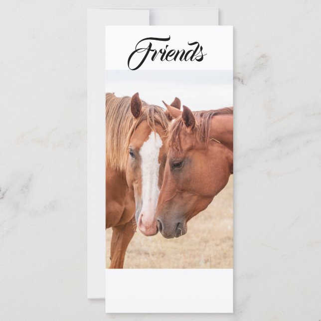 Chevaux étourdissant dans un pâturage carte place (Devant)