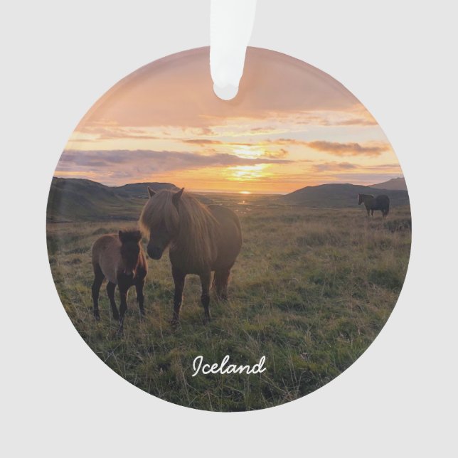 Chevaux islandais - ornement céramique (devant)