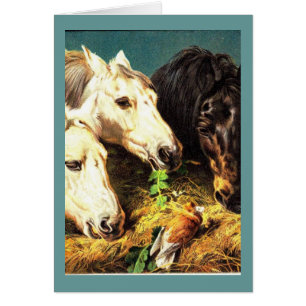 Chevaux mangeant le foin