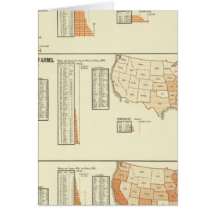 Chevaux, mules, ânes, moutons