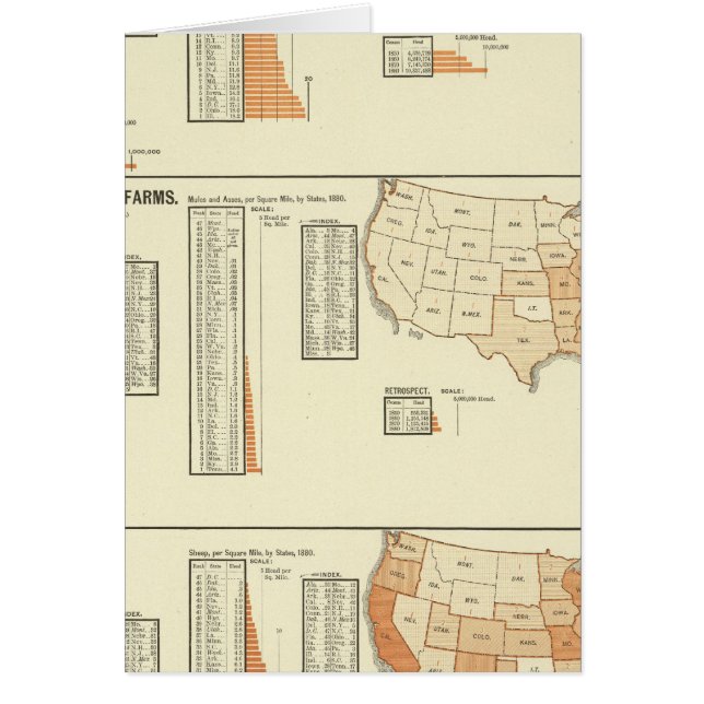 Chevaux, mules, ânes, moutons (Devant)