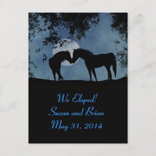 Chevaux, Nous Avons Été Des Cartes Postales Faire-