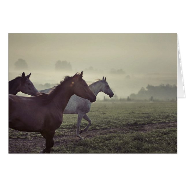 Chevaux sauvages (Devant horizontal)
