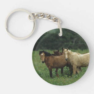 Chevaux sauvages 4 de mustang
