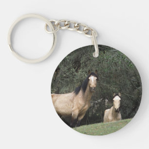 Chevaux sauvages 6 de mustang