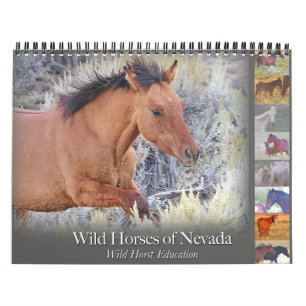 Chevaux sauvages, calendrier