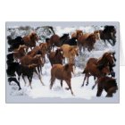 Chevaux sauvages conduits