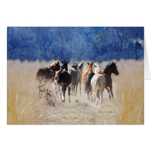 Chevaux sauvages courant