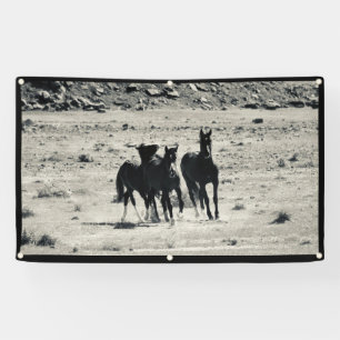 CHEVAUX SAUVAGES DE BANNIÈRE DE L'UTAH AVEC DES