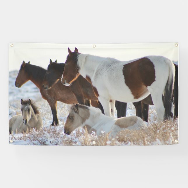 CHEVAUX SAUVAGES DE LA BANNIÈRE HERD DE L'UTAH ONA (Horizontal)