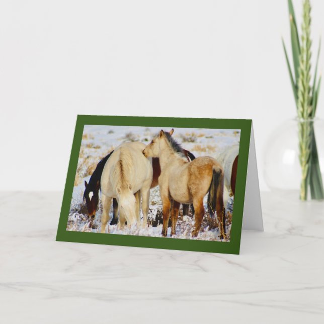 CHEVAUX SAUVAGES DE LA CARTE DE NOËL DE NATIVITÉ D (Devant)