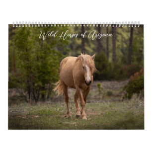 Chevaux sauvages de l'Arizona Calendrier