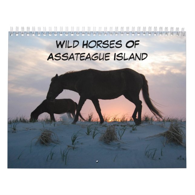 Chevaux Sauvages De L'Île D'Assateague Calendrier (Protection)