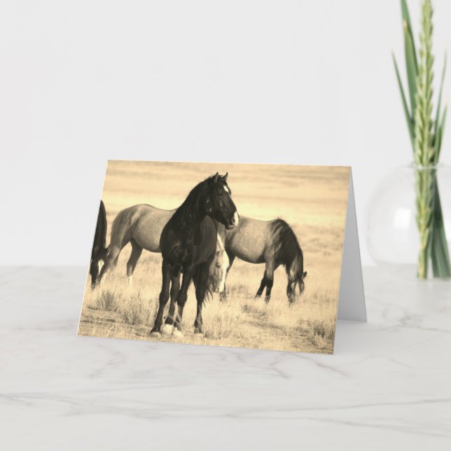 CHEVAUX SAUVAGES DE L'UTAH Carte de voeux pliée (Devant)