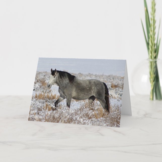 CHEVAUX SAUVAGES DE L'UTAH DANS LA Carte DE voeux  (Devant)