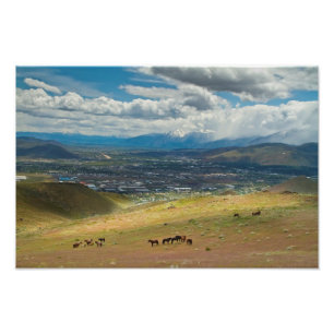 Chevaux sauvages de mustang photo de Carson City,