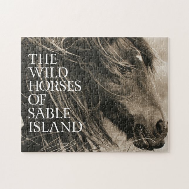 Chevaux sauvages de puzzle d'île de sable (Horizontal)