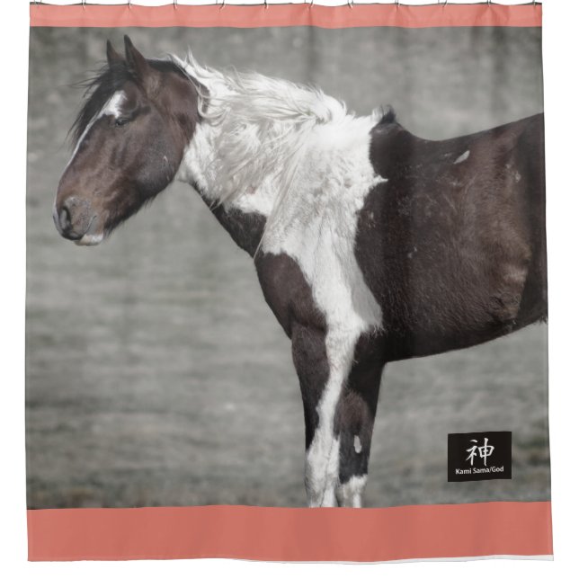 CHEVAUX SAUVAGES D'UTAH PINTO Douche Rideau (Devant)