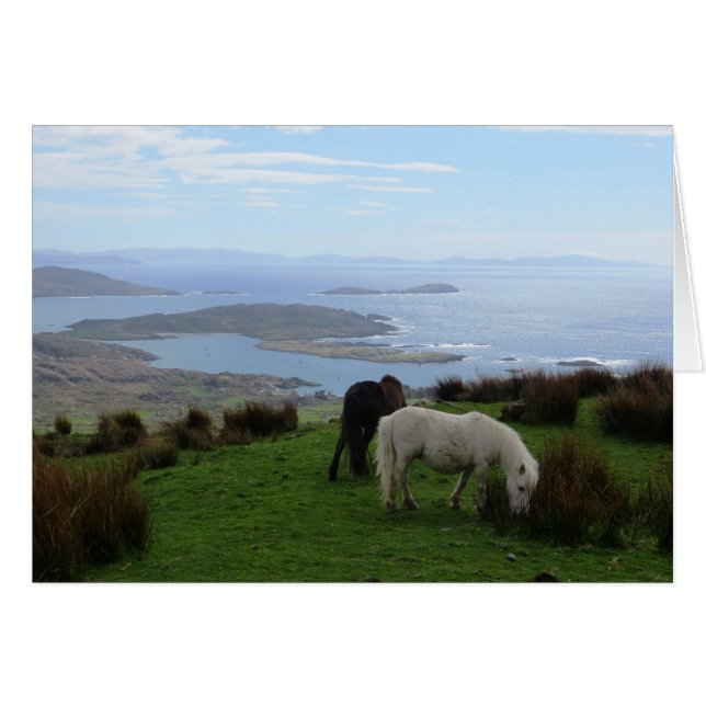 Chevaux sauvages en Irlande (Devant horizontal)