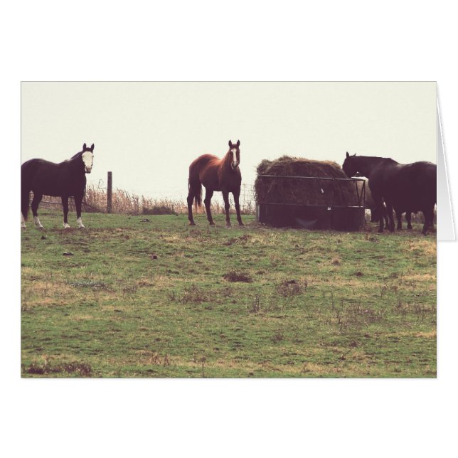 Chevaux vintages (Devant horizontal)