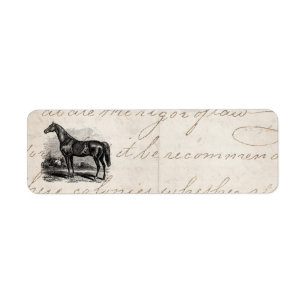 Chevaux vintages de pur sang de cheval de course
