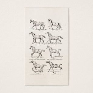 Chevaux vintages d'illustration de démarches de