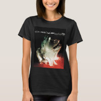 Chevelle Band