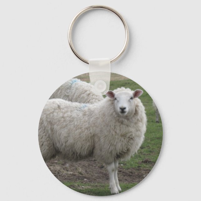 Cheviot sheep keychain (Front)
