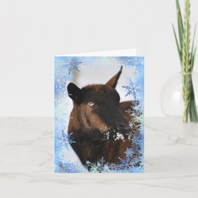 Chèvre avec un nez enneigé Carte de Noël (Devant)