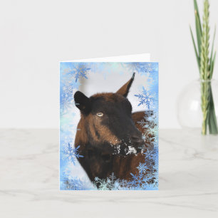 Chèvre avec un nez enneigé Carte de Noël