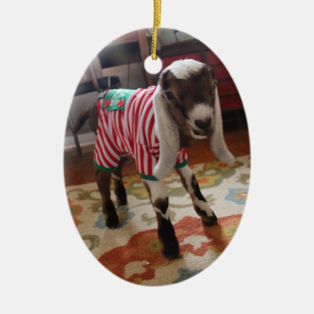 Chèvre de bébé en ornement de Noël de pyjamas (Devant)